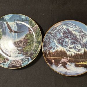 Danbury Mint Scenic Eagle Plates - Blue and Green